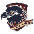 American Raptors