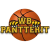 Pantterit