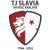 TJ Slavia Hradec Kralove