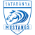 Tatabanya Mustangs