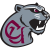 Concord Mountain Lions