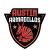 Austin Armadillo