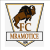FC Mramotice