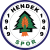 Hendek Spor Kulubu