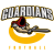 CFS Guardians
