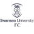 Swansea University