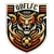 Qingdao Fuli FC