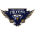Sand IL Falcons