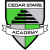 Cedar Stars Rush