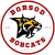 Borsod Bobcats
