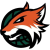Plymouth Raiders
