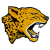 Giaguari Torino