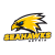 Seahawks Gdynia