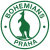 Bohemians Prague 1905 futsal