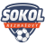 TJ Sokol Neznasovy