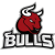 Canoas Bulls