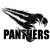Black Panthers Thonon les Bains