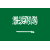 Team Saudi Arabia