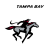 Tampa Bay Bandits