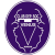 Deportivo Venus