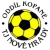 TJ Nove Hrady