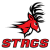 Fairfield Stags