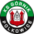 Gornik Polkowice