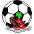 Road Safety FC