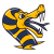 Vipers Modena