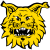 Tampereen Ilves