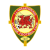 Llansantffraid Village FC