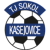 TJ Sokol Kasejovice