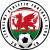 Llanelwy Athletic FC