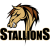 Pardubice Stallions