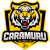 Caramuru Ponta Grossa Volei